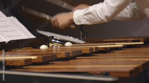 Musician hands close up percussionist playing marimba xylophone concert drum 