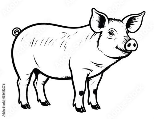 Simple black and white pig illustration
