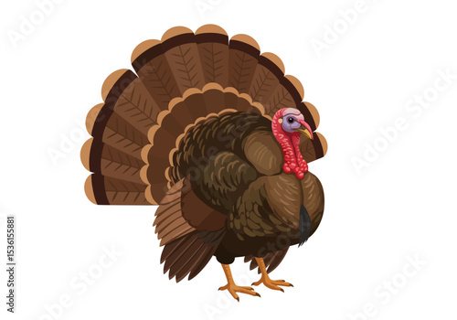 A brown turkey with a fanned tail and wrinkled red neck wattle stands on its yelloworange feet