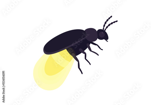 A darkcolored firefly is seen glowing in the dark with a yellow light coming from its abdomen