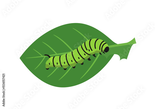 Green caterpillar with black stripes crawling on a green leaf