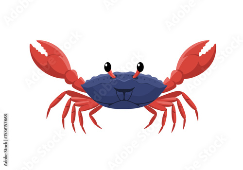 Red crab with blue shell  large claws facing forward on a white backdrop