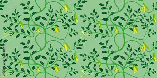 Seamless custard apple tree and custard apple flowers pattern with green leaves.
