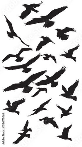 Wallpaper Mural Silhouette of flock of flying birds isolated , black silhouettes isolated on white background Torontodigital.ca