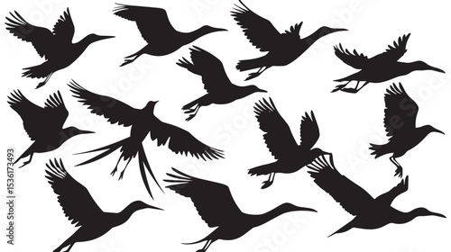 Silhouette of flock of flying birds isolated , black silhouettes isolated on white background