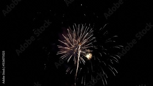 Wallpaper Mural Colorful Fireworks Explosion in the Night Sky Torontodigital.ca