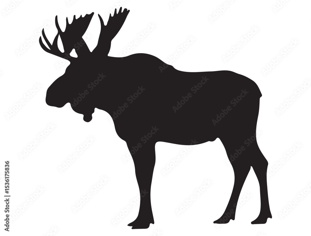 Fototapeta premium MOOSE SILHOUETTE