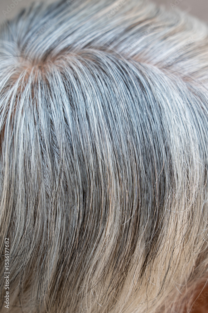 Fototapeta premium closeup of white hair texture background.