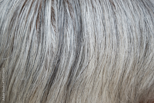 Foto closeup of white hair  texture background.