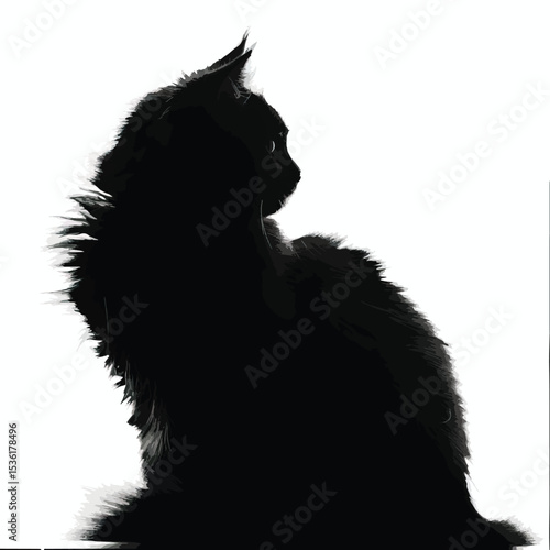 silhouette of fluffy cat on a white background