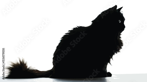silhouette of fluffy cat on a white background