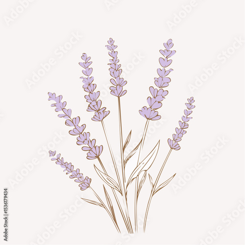 Soothing lavender sprigs in soft brown ink, perfect for wellness branding, home goods, and calm design themes