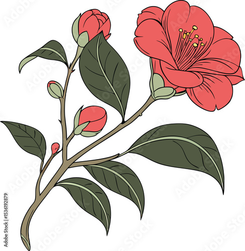 A vibrant illustration of a camellia branch with a beautiful red flower and several unopened buds.