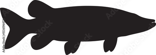 NORTHERN PIKE FISH SILHOUETTE