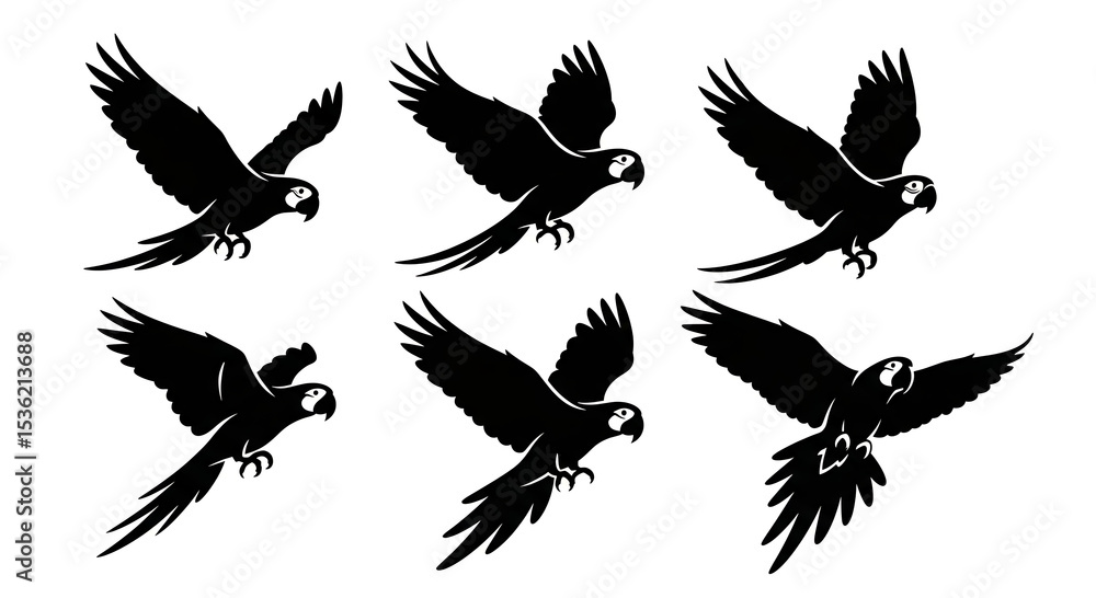 Fototapeta premium Six Silhouettes Of Flying Macaws: Elegant Black And White Bird Illustrations