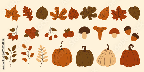 Collection of autumn elements pumpkins, mushrooms, leaves, berries and acorns. Set of fall season web graphics and cozy design themes. Vector illustration