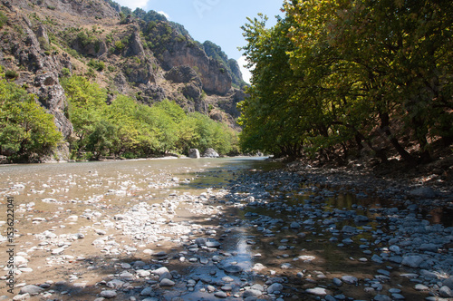 Aoos River with trees and mountains visible in the background