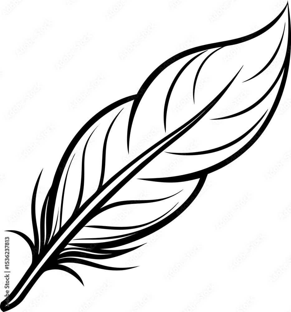 Obraz premium feather isolated on white