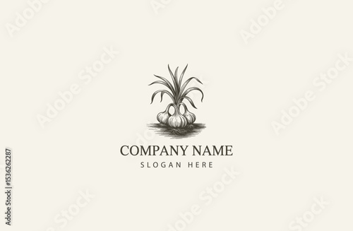 Vintage Style Garlic Engraving Illustration Botanical Art Print