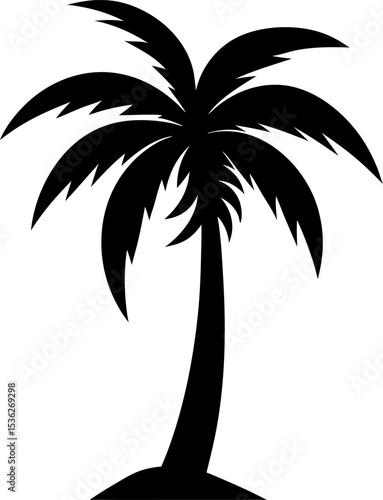 silhouette of palm tree
