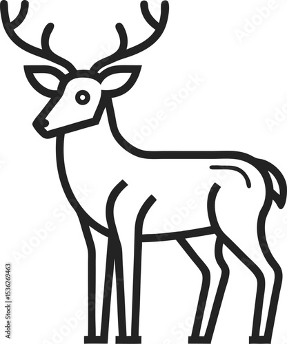 deer vector illustration
