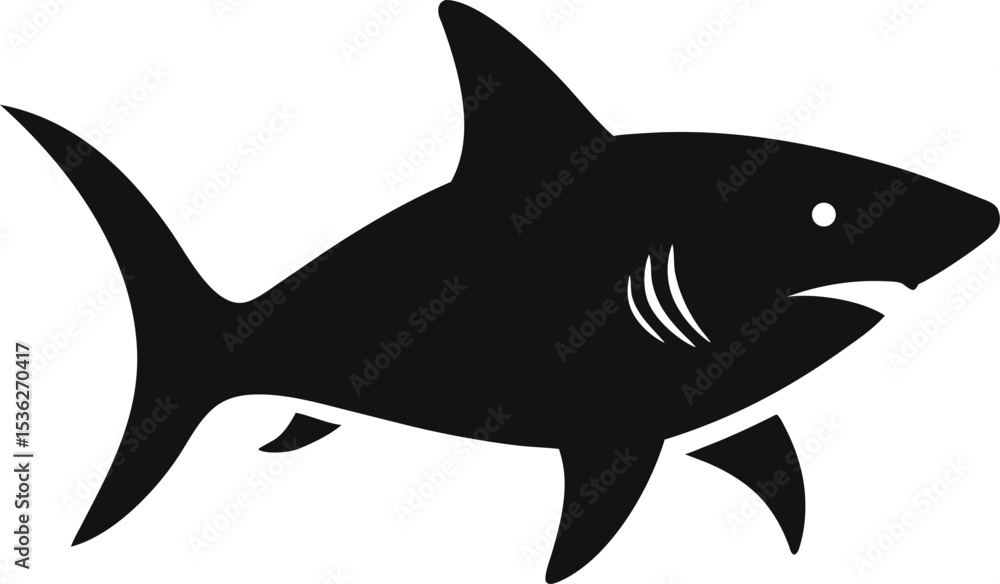 Obraz premium shark vector illustration