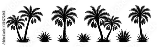 Silhouette Tropical Paradise: Palm Trees and Lush Shrubs