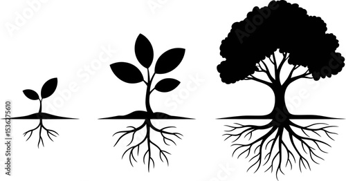 Tree growth stages vector illustration sapling plant development process lifecycle black and white image editable stock vector illustration
