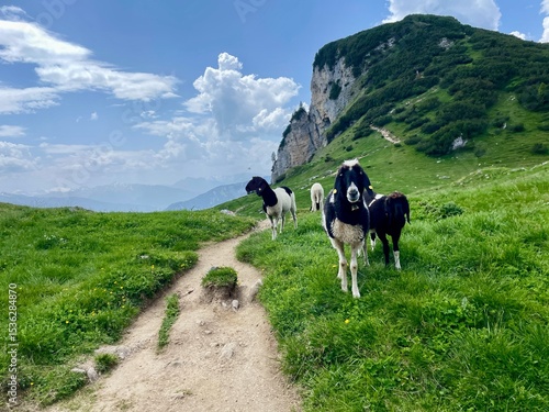 Wallpaper Mural Wanderung im Rofangebirge Torontodigital.ca