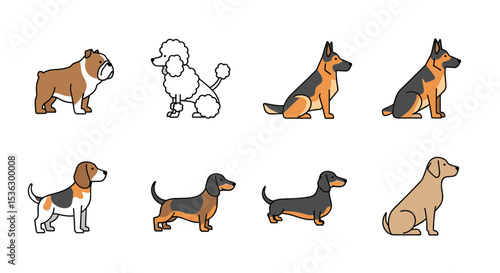 A Diverse Collection of Canine Companions Showcasing Various Dog Breeds and Types
