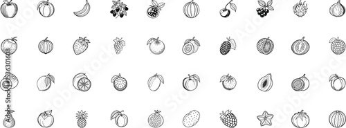 Vactor i con collection of various fruits