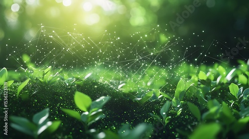 Green nature network