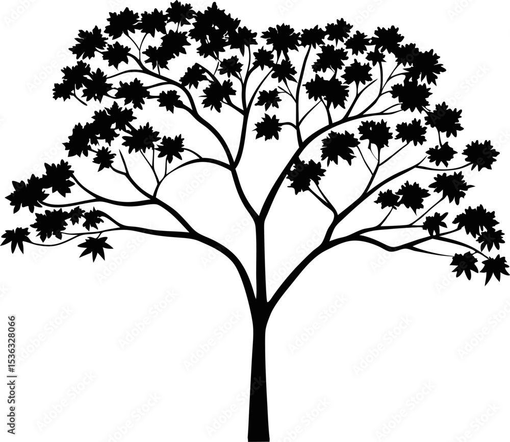 Obraz premium maple tree silhouette vector illustration.eps
