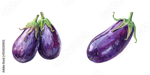aubergine watercolor vector illustration
