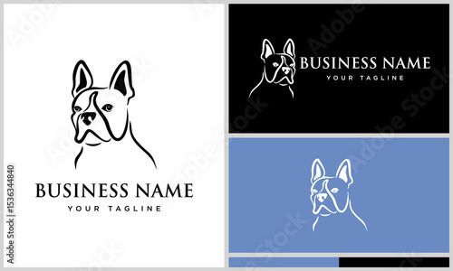 Boston Terrier Logo Design Variations.