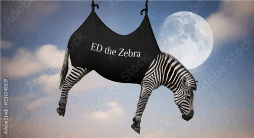 Realistic ed the zebra airlift under moonlight