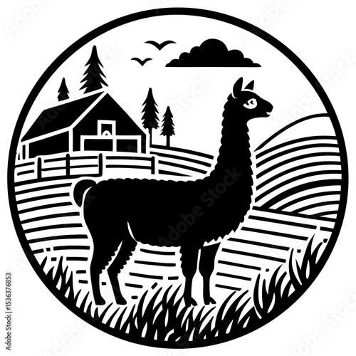 alpaca farm tours
