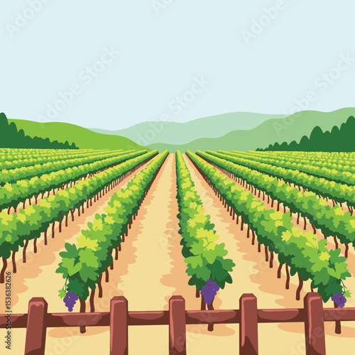 Vibrant vineyard rows stretching under clear blue sky, agricultural beauty