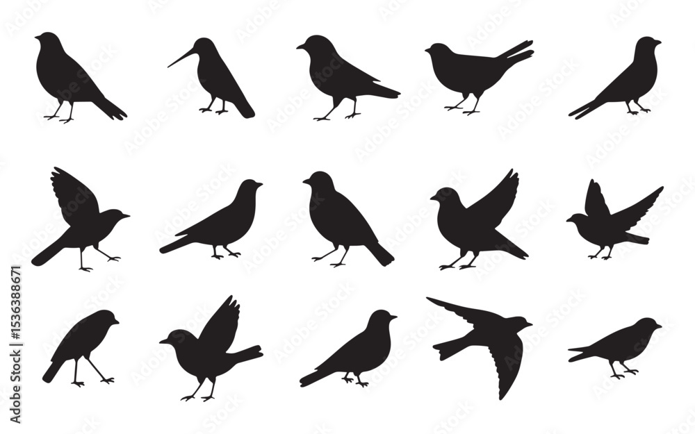 Fototapeta premium Bird Silhouettes in Various Poses on White Background.eps