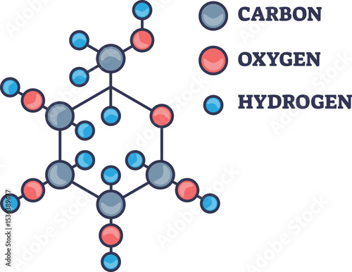 A diagram of a glucose molecule (C6H12O6) showing its hexagonal ring structure. A legend identifies the carbon, oxygen, and hydrogen atoms, representing a simple sugar and energy source.