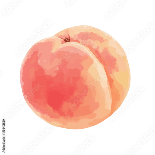 水彩で描いた桃のイラスト