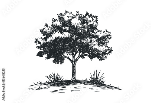 Elegant sketch of a lush tree with detailed foliage and grass. Vector retro hand drawn illustration