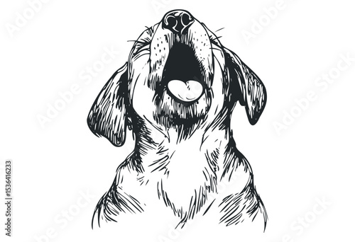 Sketch of a dog howling with open mouth and detailed fur patterns. Vector retro hand drawn illustration
