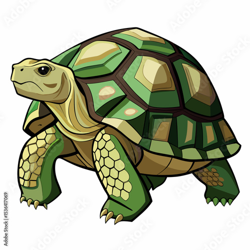 turtle