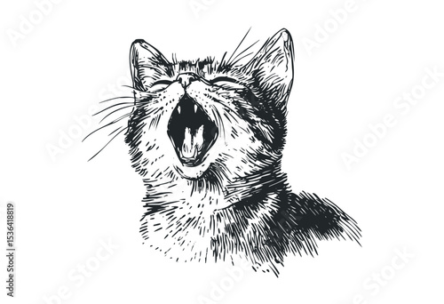 Yawning cat sketch in black and white line art style. Vector retro hand drawn illustration