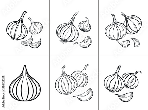 Black and white line art of garlic bulbs and cloves, perfect for cooking, food, and ingredient-themed designs.