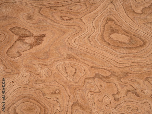 Swirling patterns of rich sienna and subdued tan create a mesmerizing veneer surface, showcasing the unique beauty of burl wood