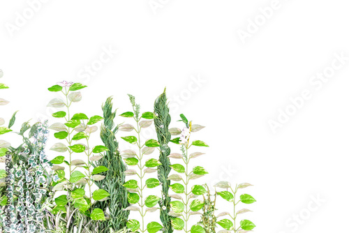 Wallpaper Mural green leaves border isolated on white background with copy space for your text Torontodigital.ca