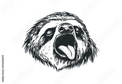 Detailed black and white illustration of a yawning sloth with open mouth and tongue. Vector retro hand drawn illustration