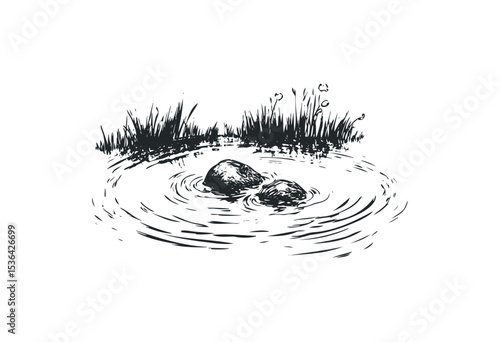 Ripples in pond with grass and stones sketch. Vector retro hand drawn illustration